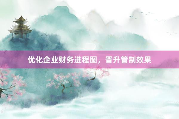 优化企业财务进程图，晋升管制效果